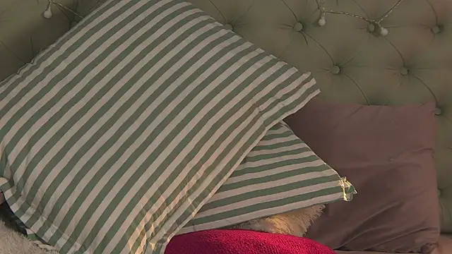 AlicePirs online show from February 2025 11:32:02 AM