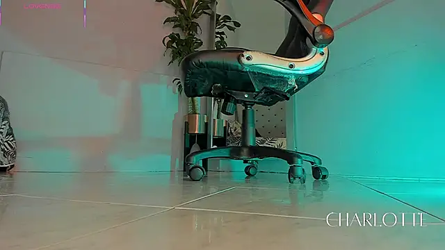 Snapshot of charlotte__grey chatting on November 2025 08:41:02 PM charlotte grey online show from November 2025 08:41:02 PM