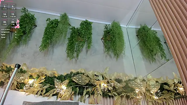 Lana Lann online show from December 2024 03:48:02 PM