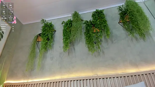 Lana Lann online show from February 2025 03:42:01 PM