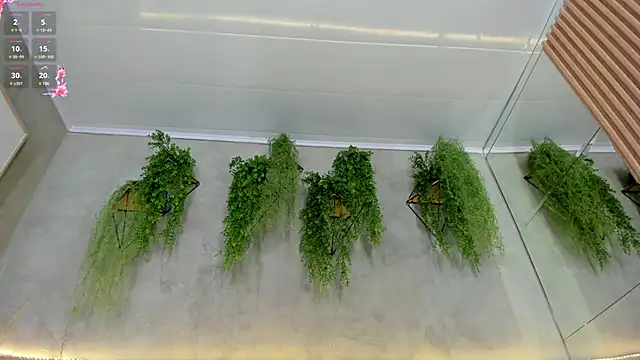 Lana Lann online show from March 2025 03:06:01 PM