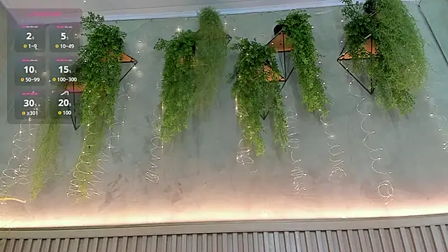 Lana Lann online show from January 2026 12:43:01 PM