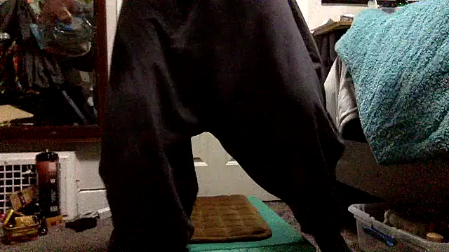 Robriguezxxx online show from December 2024 07:56:02 AM