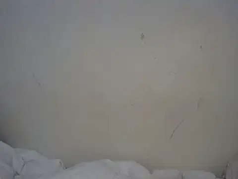 ebony curvedass online show from September 2025 02:06:02 PM