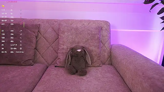 Anybuny online show from February 2026 02:43:02 PM