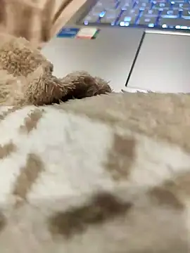 Bemgalado online show from January 2025 08:22:01 PM