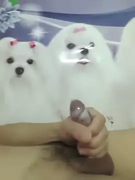 826687 online show from March 2026 01:40:02 PM