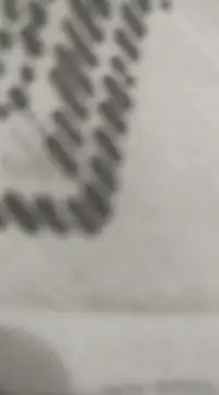 Snapshot of _Sahra_ chatting on March 2025 05:13:01 PM Sahra online show from March 2025 05:13:01 PM