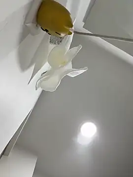 Snapshot of Amber_Rush_ chatting on September 2025 04:29:02 PM Amber Rush  online show from September 2025 04:29:02 PM