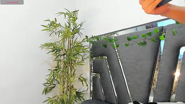 Black Rose2 online show from February 2025 11:57:02 AM