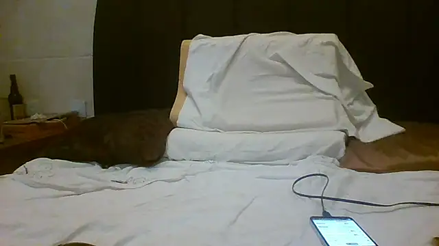 Snapshot of Denisilboss chatting on March 2026 03:50:01 PM Denisilboss online show from March 2026 03:50:01 PM