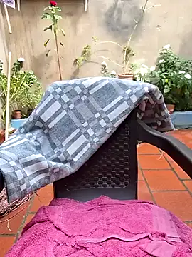 room 24funn online show from January 2026 03:16:01 PM