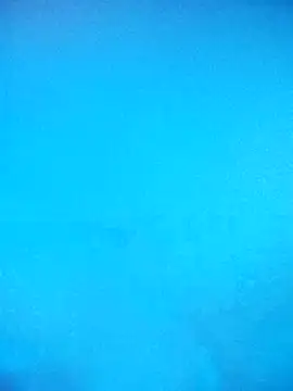 Snapshot of skrigul12 chatting on February 2026 03:31:01 PM skrigul12 online show from February 2026 03:31:01 PM