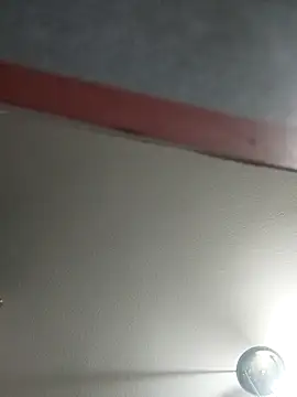 Snapshot of skrigul12 chatting on February 2026 08:31:02 PM skrigul12 online show from February 2026 08:31:02 PM