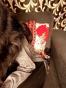 REVA DARLING online show from January 2025 08:54:01 AM