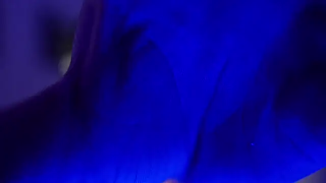 Hazzan Velez online show from November 2025 02:57:02 AM