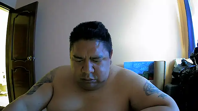 mateo-35audit online show from June 2026 03:11:02 PM