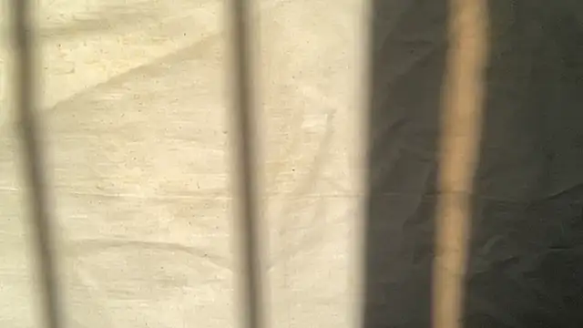 beforeyou69 online show from November 2025 08:04:01 AM