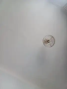 Snapshot of katymojadit chatting on January 2025 03:28:02 PM katymojadit online show from January 2025 03:28:02 PM