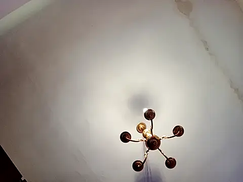 Snapshot of katymojadit chatting on March 2025 01:29:01 PM katymojadit online show from March 2025 01:29:01 PM