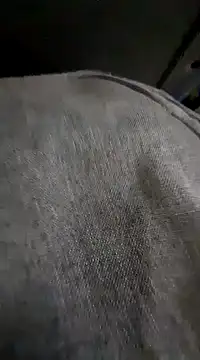 Snapshot of bladebmrj chatting on December 2024 01:36:02 AM bladebmrj online show from December 2024 01:36:02 AM