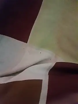 Snapshot of bladebmrj chatting on October 2025 01:54:02 PM bladebmrj online show from October 2025 01:54:02 PM