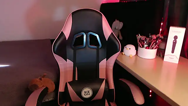 Snapshot of Theprojectsaraa chatting on February 2026 02:12:02 PM Theprojectsaraa online show from February 2026 02:12:02 PM