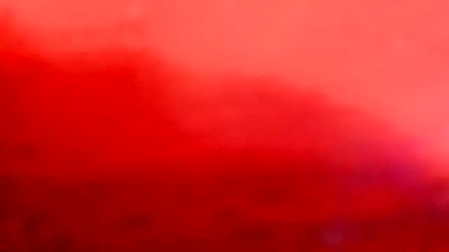 leatherz69 online show from February 2025 03:06:02 AM