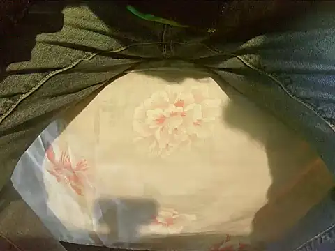 Tiger202441 online show from December 2024 09:48:02 AM