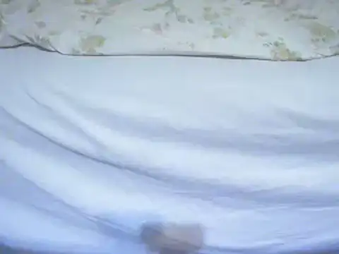 Tiger202441 online show from February 2025 11:41:01 PM