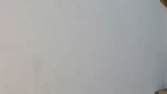 Snapshot of luna_palmerau chatting on January 2025 04:26:01 AM luna palmerau online show from January 2025 04:26:01 AM