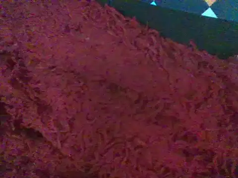 Snapshot of RoxiRedXXX chatting on January 2025 06:12:02 PM RoxiRedXXX online show from January 2025 06:12:02 PM