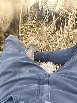 murokkk31 online show from October 2025 09:33:01 AM