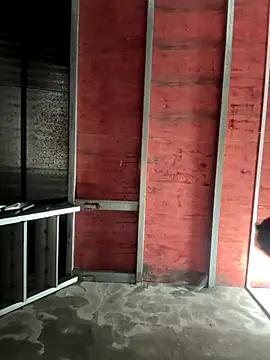 Hellen 111 online show from November 2025 03:12:02 PM