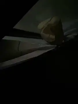 xxkingxx420 online show from December 2024 07:00:01 PM