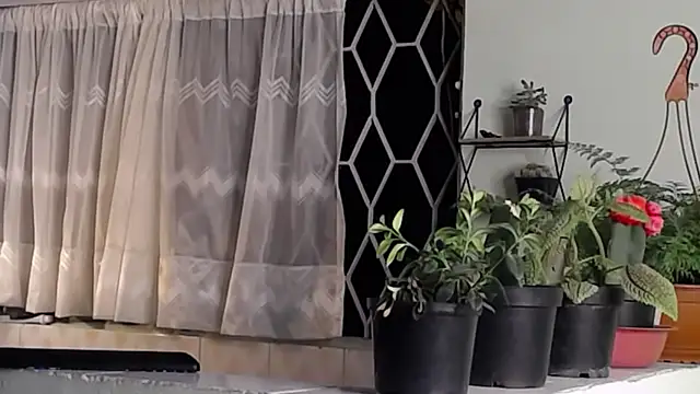 peyton golden1 online show from January 2025 06:35:02 AM