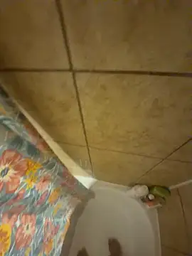 Snapshot of alxcol chatting on December 2025 04:42:02 AM alxcol online show from December 2025 04:42:02 AM