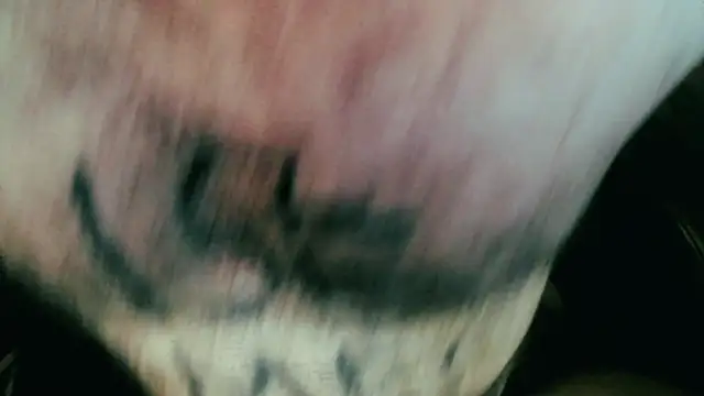 Gigadickman online show from January 2025 11:44:01 PM