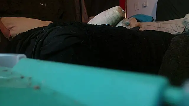 Gigadickman online show from January 2025 02:17:01 AM