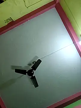 Hunter boy9 online show from November 2025 11:59:02 PM