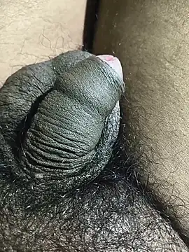 Snapshot of rajrahulovi chatting on February 2026 05:21:01 PM rajrahulovi online show from February 2026 05:21:01 PM