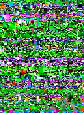 bad-boy-2002 online show from October 2025 02:37:01 PM