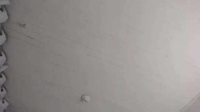 TiffanyWright online show from November 2025 10:40:02 AM