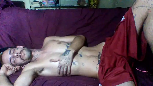 sellvageria online show from December 2025 08:25:01 PM