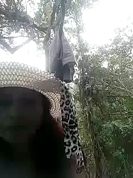 andreu mature online show from March 2025 10:32:01 PM