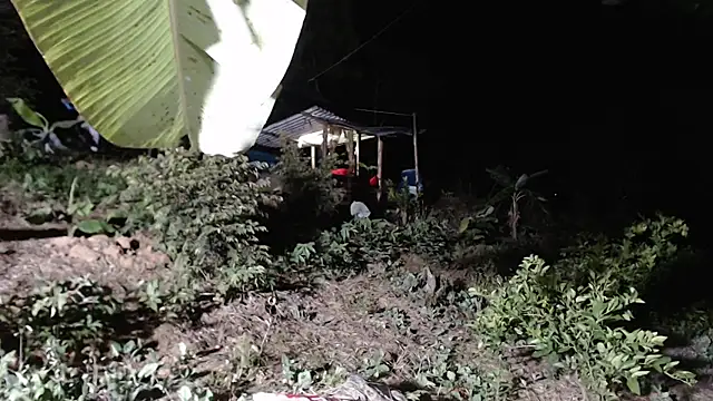 andreu mature online show from October 2025 01:14:01 AM