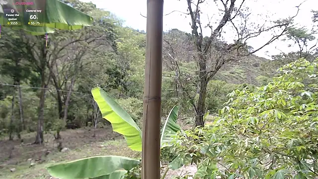 andreu mature online show from October 2025 04:09:01 PM