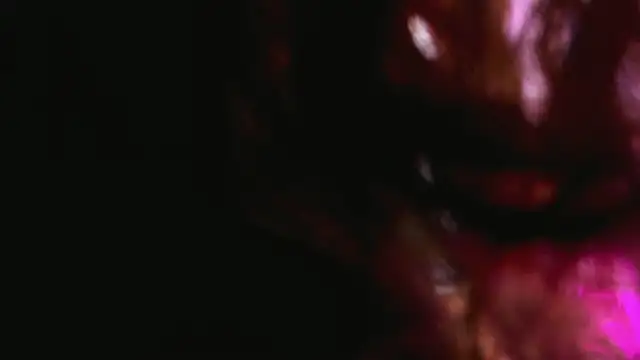 Adams Cloe online show from January 2026 10:53:01 AM