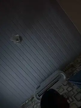 Avint-Perfeita online show from November 2025 10:31:02 PM