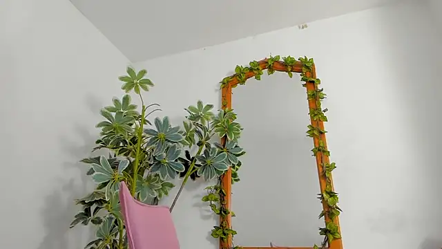 BonnieCute  online show from February 2026 11:36:01 PM